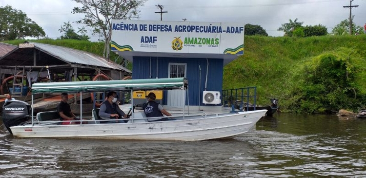 Barreiras monitoram aftosa no rebanho do Amazonas - Foto: Divulgação/Adaf
