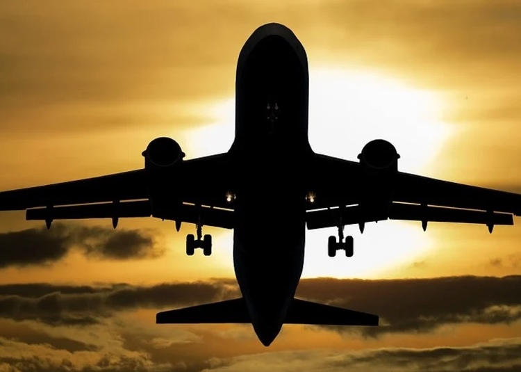 Foto: Reprodução/ Pixabay