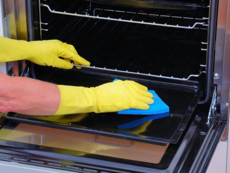 Foto: Reprodução /  Internet