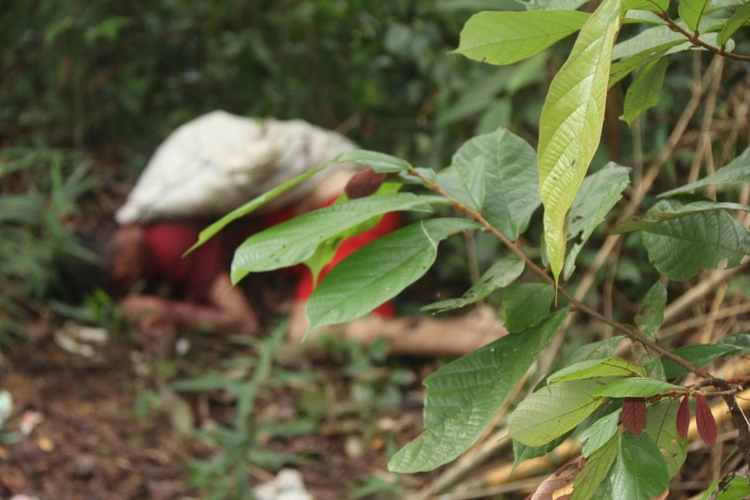 Foto: Jander Robson/Portal do Holanda