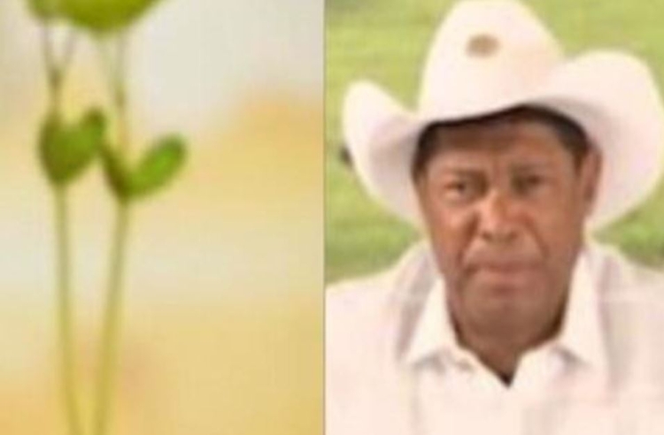 Foto: Reprodução / Youtube