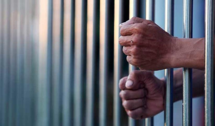 Foto: Reprodução /  Internet