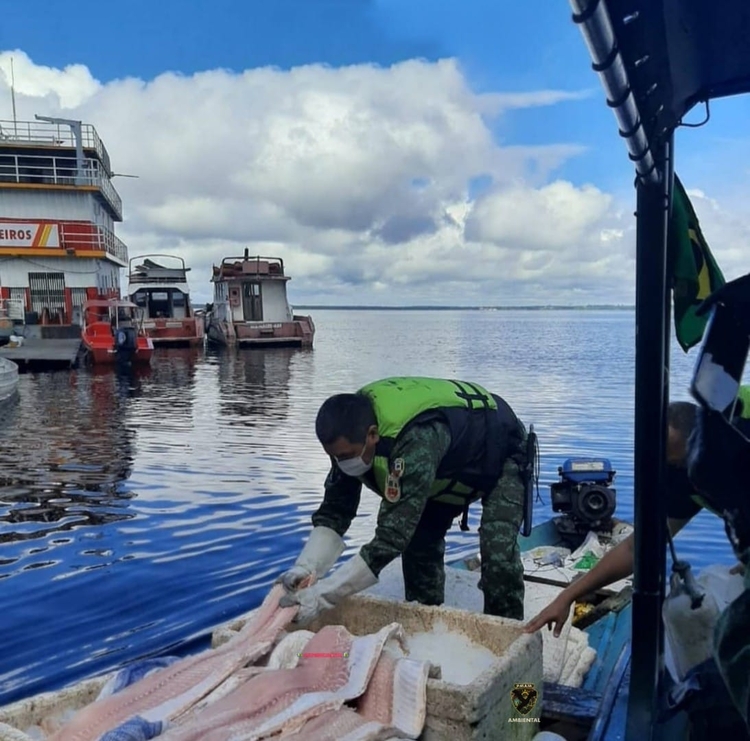 Divulgação Polícia Militar/AM