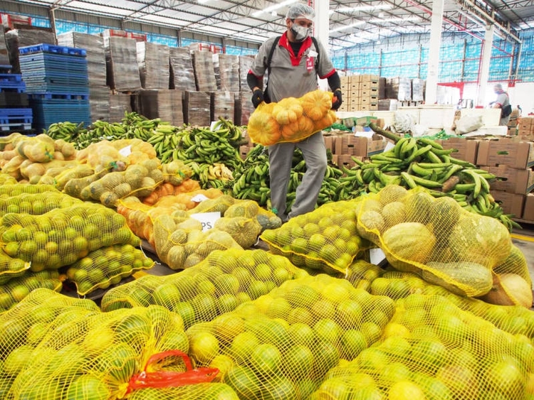 Mais de 60 produtores são beneficiados com a compra de alimentos -  Foto: Ruth Jucá/ADS