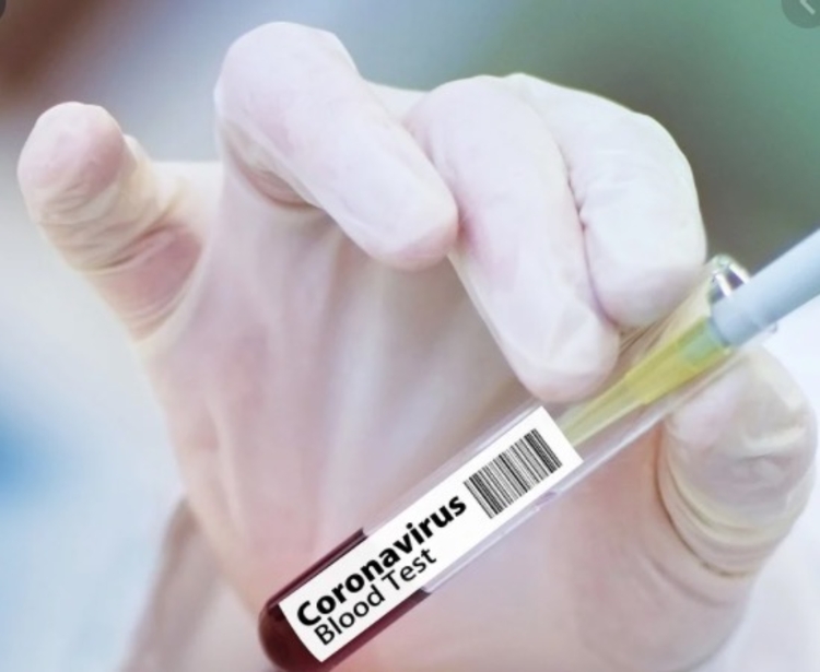 Foto: Reprodução Pixabay