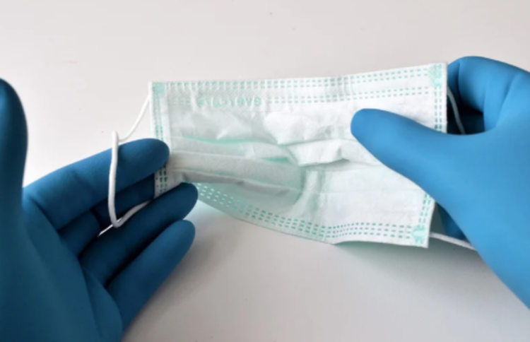 Foto: Reprodução / Pixabay