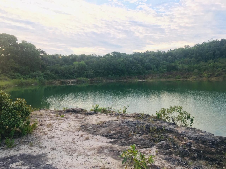 Foto: Portal do Holanda / Caio Guarlotte