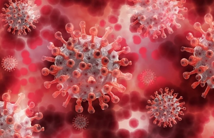 Foto: Ilustrativa/Pixabay