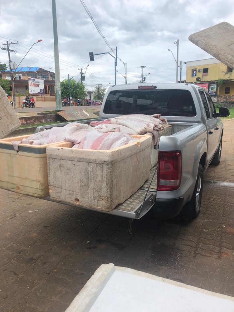 Divulgação Polícia Civil AM