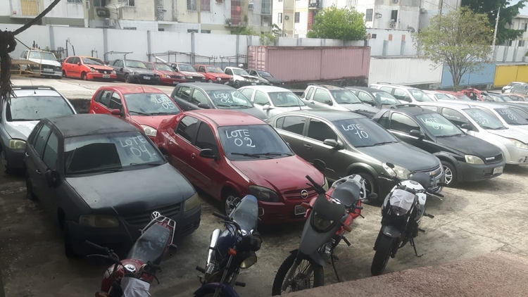 Leilão virtual acontece na sexta-feira - Foto: Divulgação/Sejusc