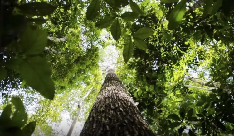 Foto: Marcelo Camargo/Agência Brasil