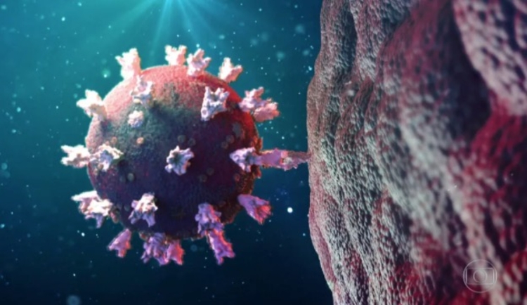 Variante do Amazonas - Foto: Reprodução/JN