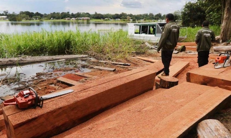 Foto: Ricardo Oliveira/Ipaam