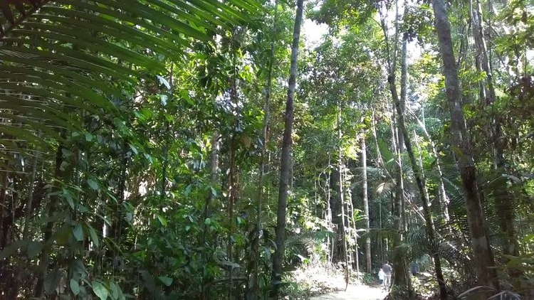 Prêmio visa desempenho em direito ambiental - Foto: Eustáquio Libório/PH