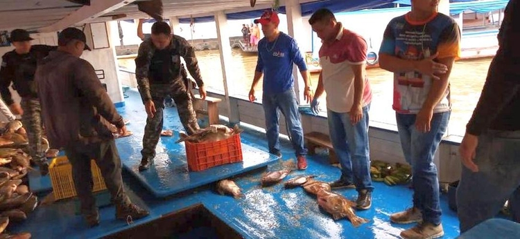 Pescado foi apreendido em Coari - Foto: Divulgação/SSP-AM