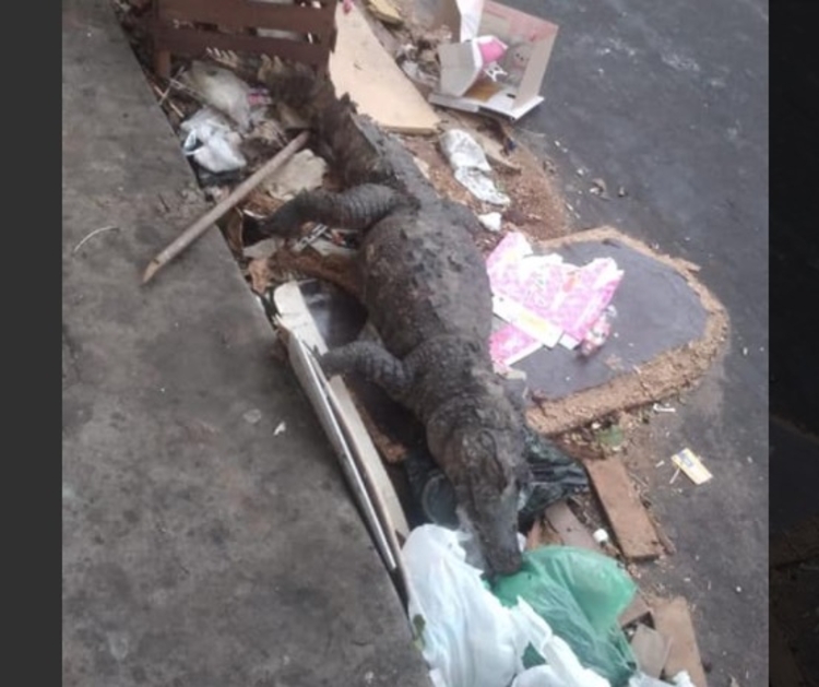 Foto: Reprodução/ Facebook