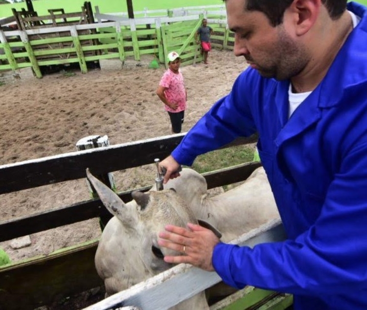 Foto:Divulgação/Adaf