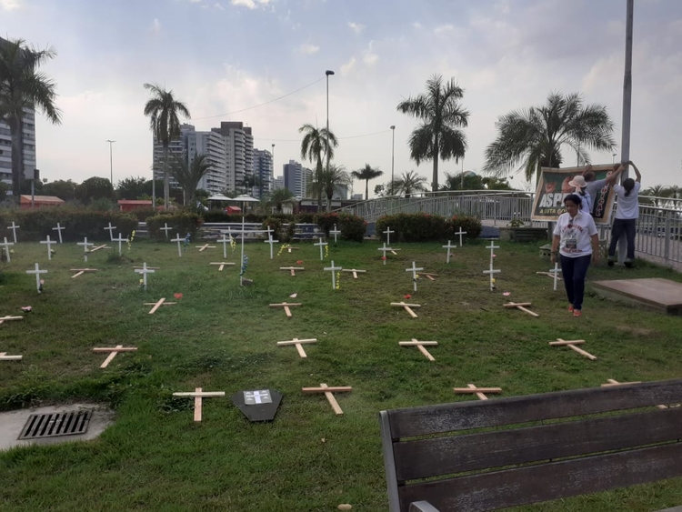 Cerca de 50 cruzes foram colocadas no local - Foto: Reprodução