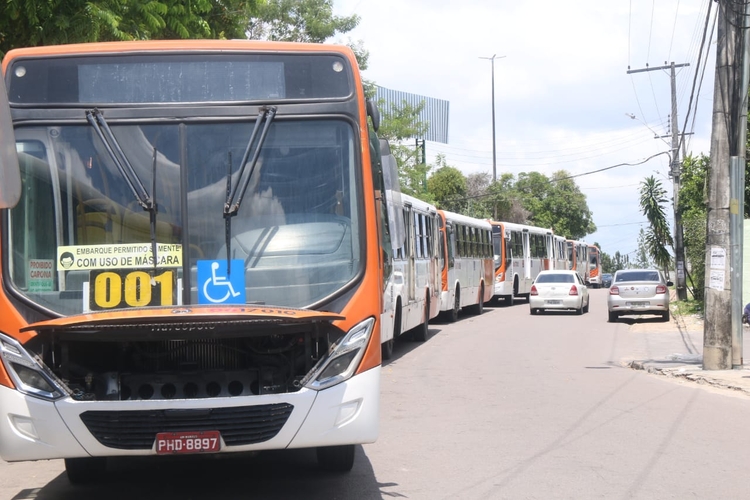 Foto: Jander Robson / Portal do Holanda
