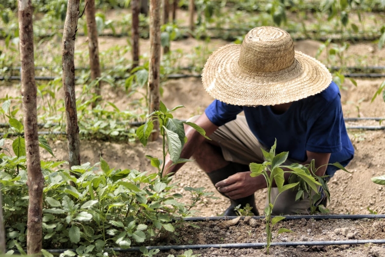 Tabela ajuda na aquisição de produtos - Foto: Divulgação/Sepror