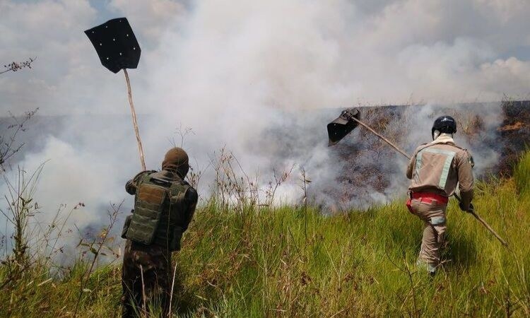 Objetivo é combater crimes ambientais e focos de incêndio na Amazônia Legal - Foto: Ministério da Defesa  A