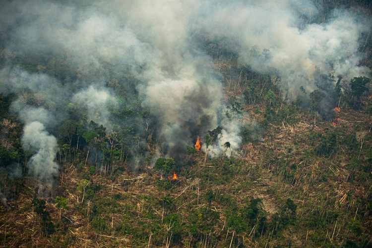 Foto: Christian Braga/Greenpeace