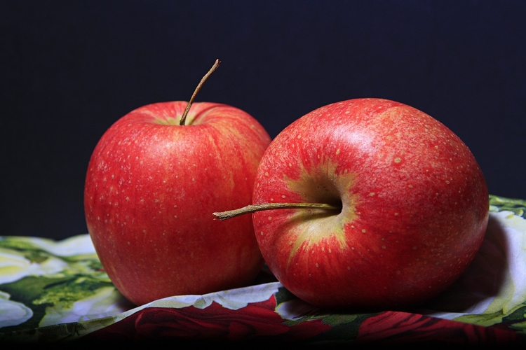 Foto: Reprodução Pixabay