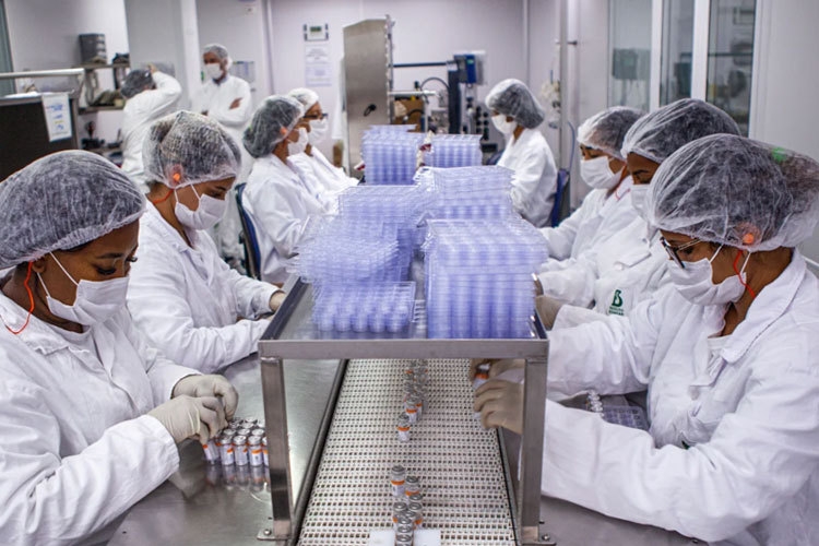 Novo lote será entregue quarta-feira - Foto: Divulgação - Butantan