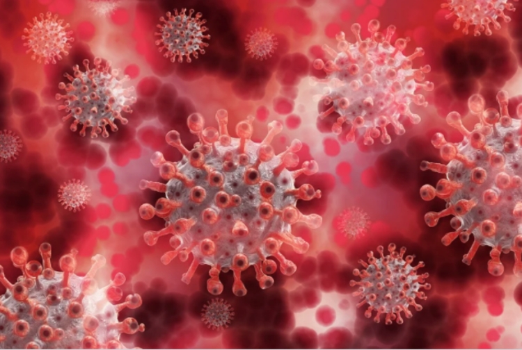 Coronavírus - Foto: Reprodução / Pixabay