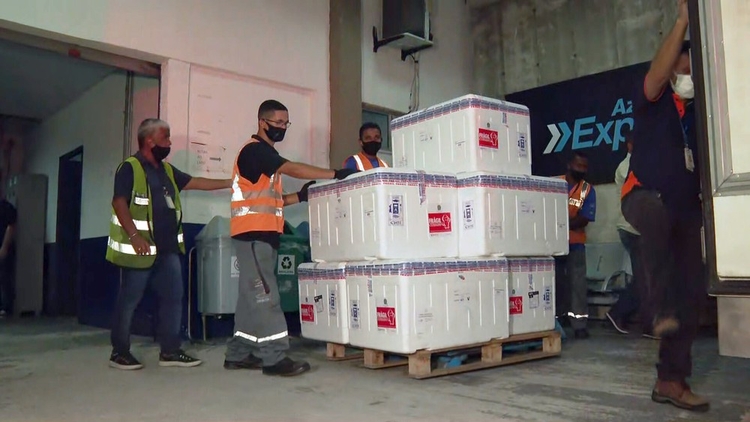 Doses da coronavac (Foto: Reprodução/Sistema Globo)