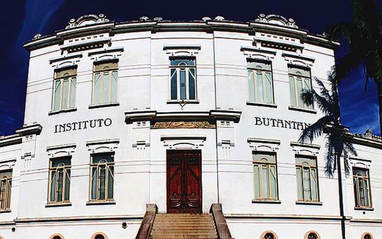 Butantan vai ficar sem insumo para produzir a coronavac - Foto: Divulgação