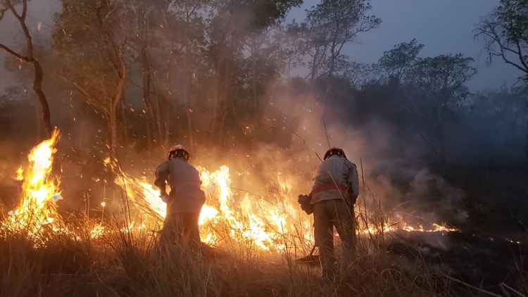 Incêndio no Pantanal -Foto: João Paulo Gonçalves/Corpo de Bombeiros - MT