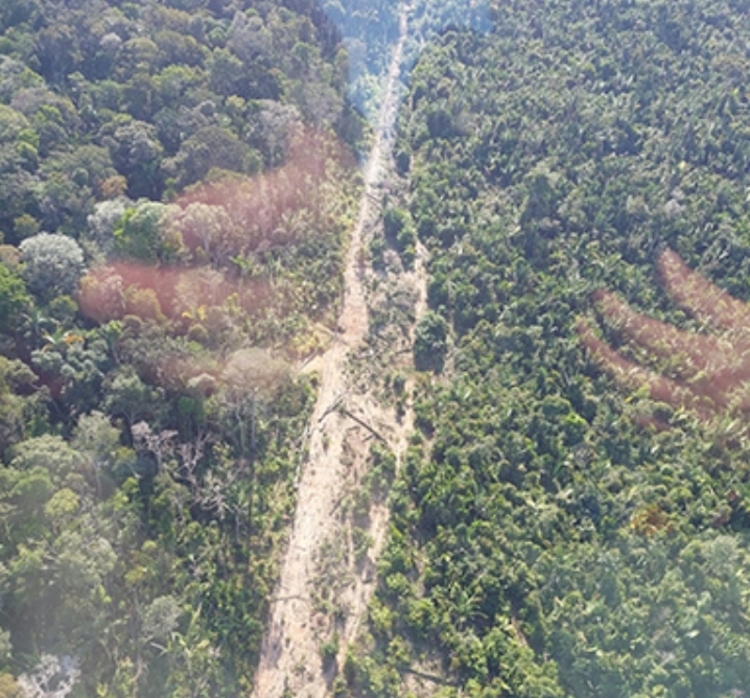 Foto: Ibama/Divulgação