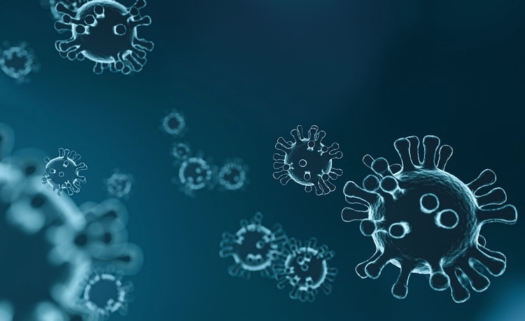  Nova estirpe foi detectada em hospital - Imagem: Ilustrativa/Pixabay