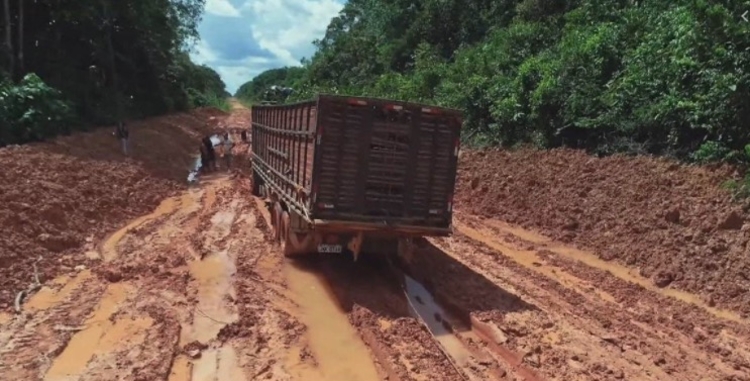 Foto: Divulgação / trecho na BR-319