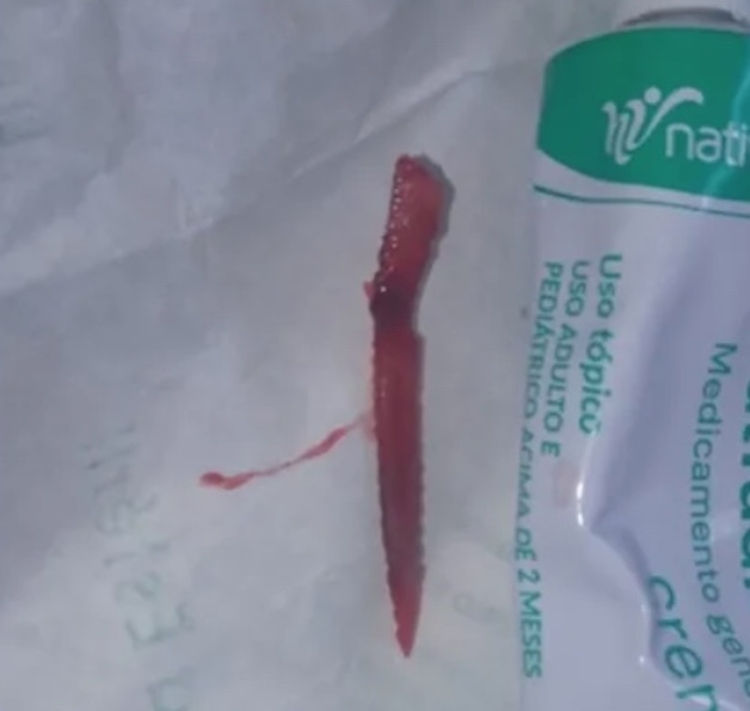 Foto: Reprodução/ arquivo pessoal