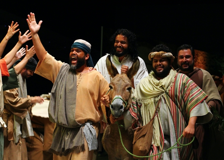 Foto: Divulgação IPManaus