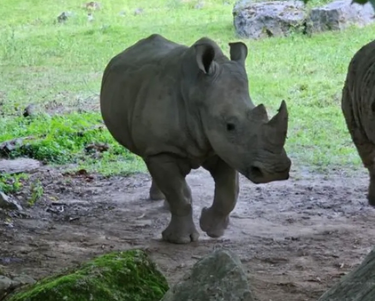 Foto: Facebook / Zoo Salzburg