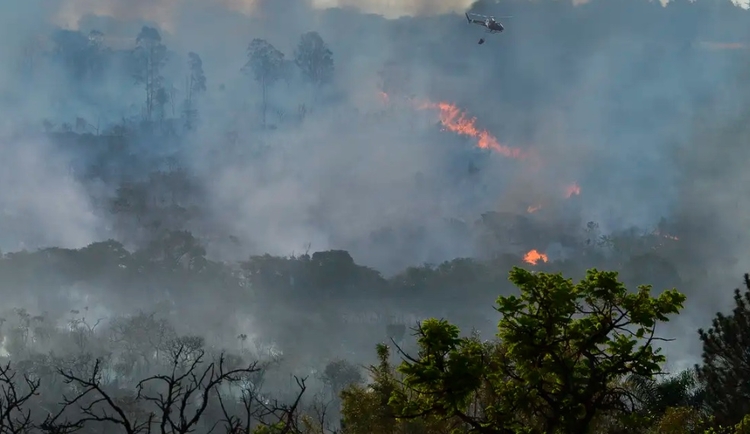 Foto: Valter Campanato/Agência Brasil