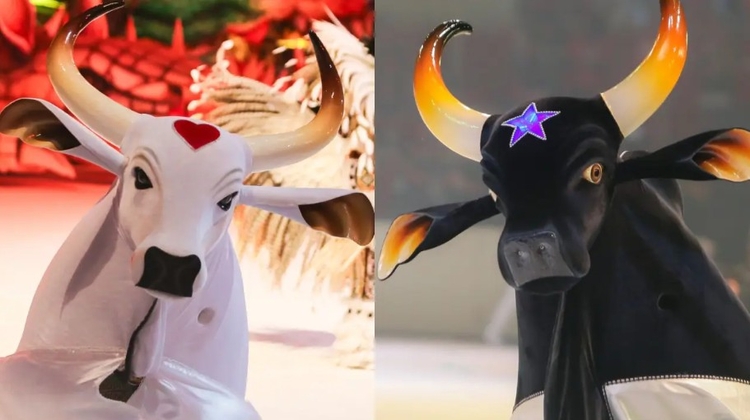 Foto: Aguilar Abecassis/Divulgação