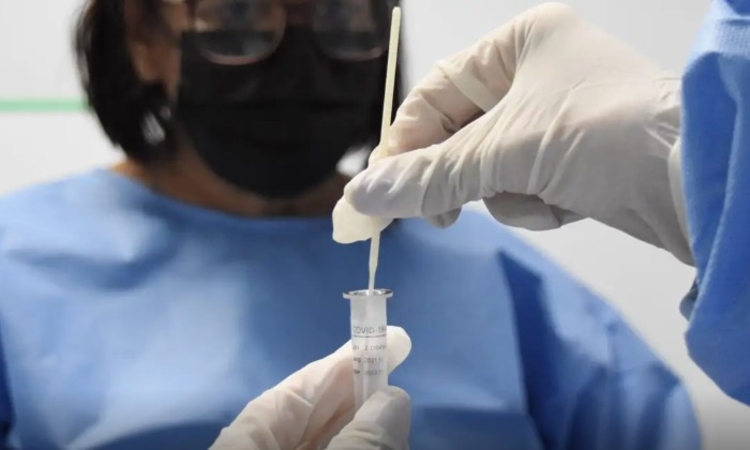 Foto: Tony Winston/Agência Brasília