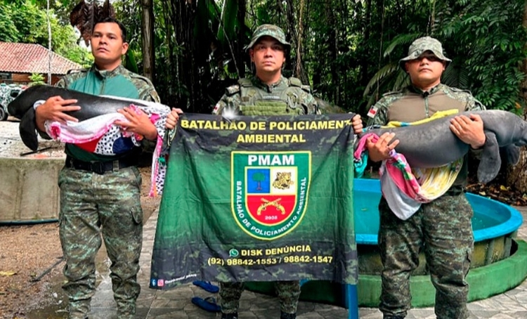 Foto: Divulgação/PM-AM