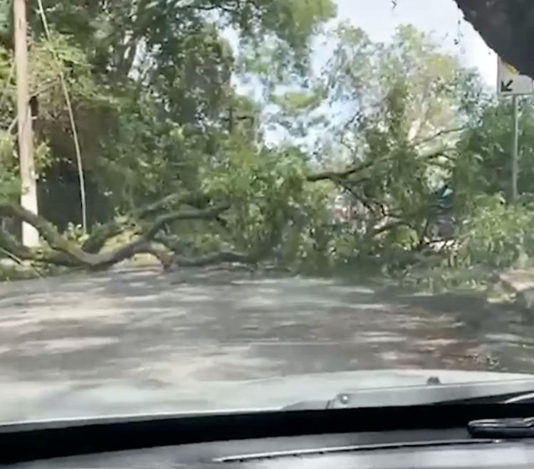 As rajadas de vento chegaram a quase 100 km/h e provocaram um efeito em cadeia na malha aérea nacional - Foto: Reprodução/Redes Sociais