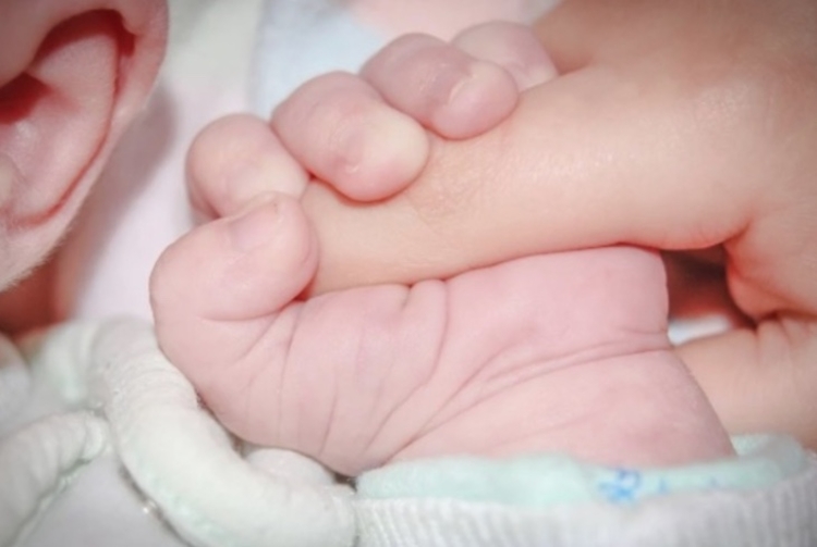 Foto: Reprodução. / Pixabay