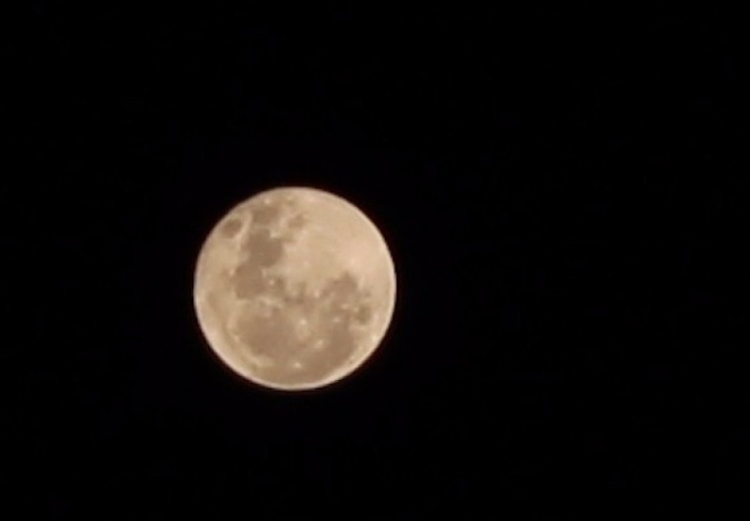 Foto: Portal do Holanda