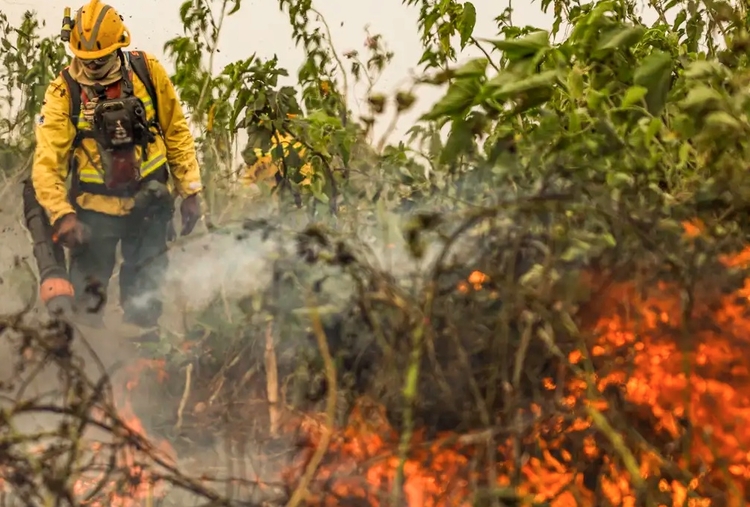 Foto: Arquivo/Agência Brasil 