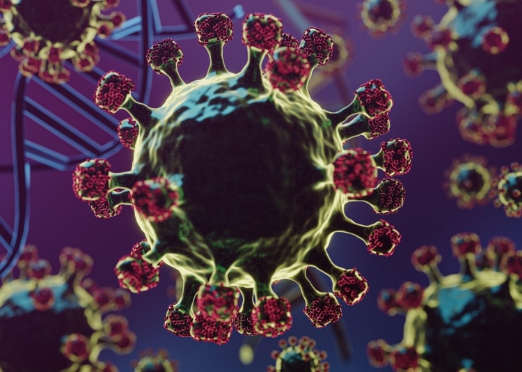 Foto: Reprodução/Freepik