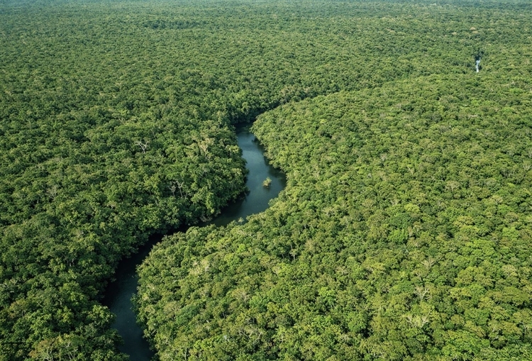 Foto: Divulgação/Ipaam