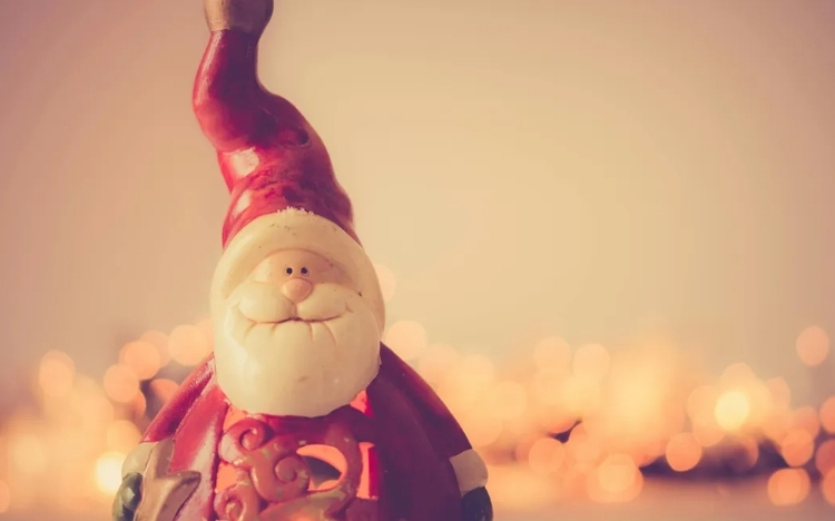 Foto: Reprodução/ Pexels