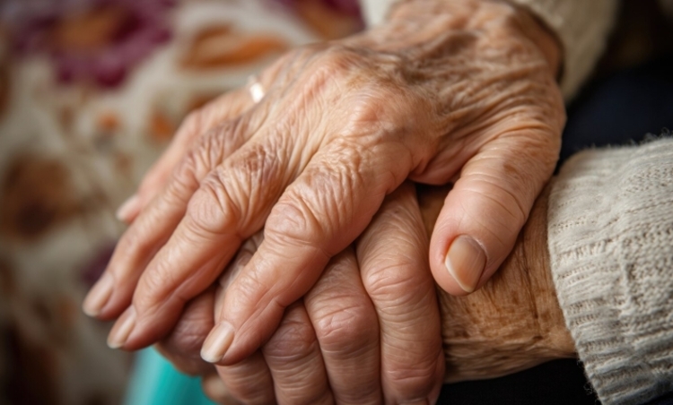 Foto: Reprodução/Freepik 